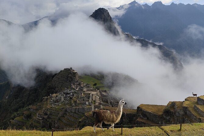 Short Inca Trail To Machu Picchu - The Short Inca Trail Makes Machu Picchu Feel Earned