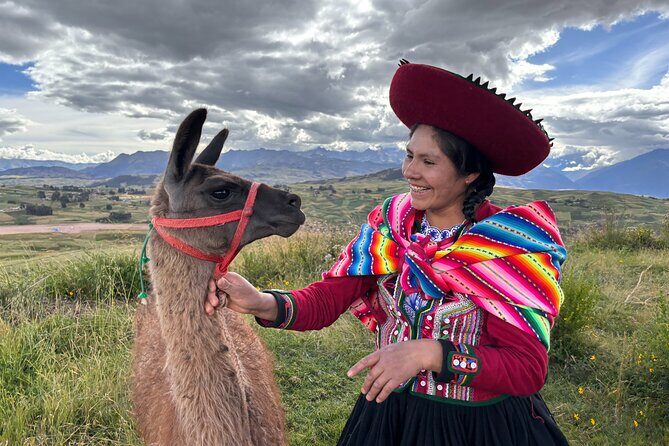 the best sacred valley tour: walk with Alpacas,culture experience - Key Highlights You’ll Feel Right Away