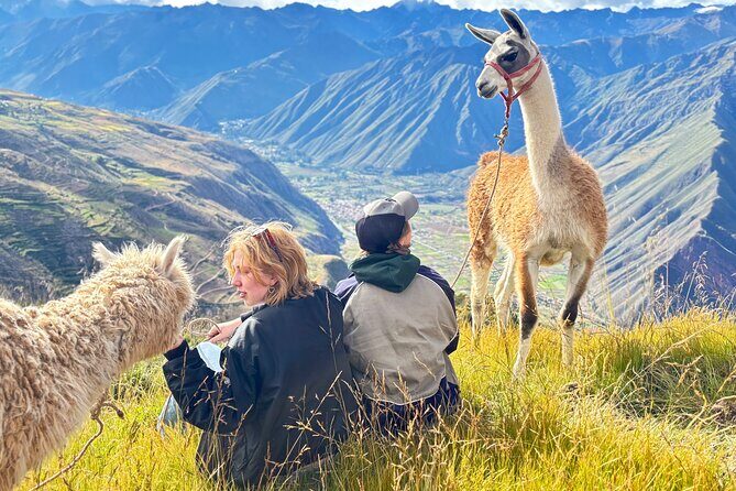 the best sacred valley tour: walk with Alpacas,culture experience - What Your Guide Actually Adds (And Why It Matters)