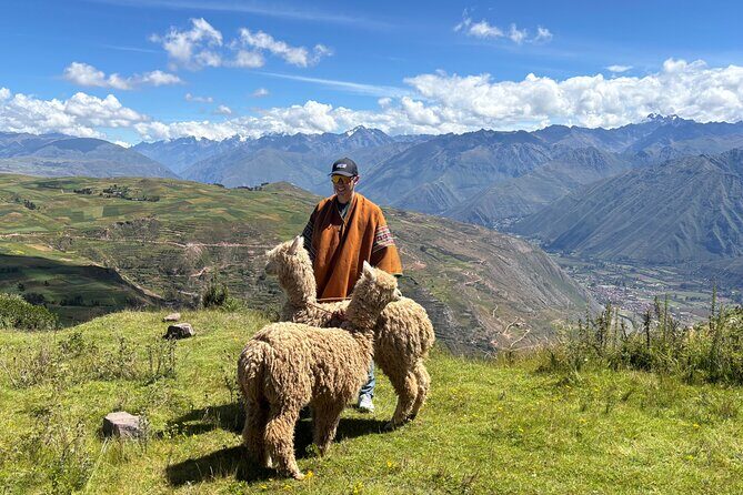 the best sacred valley tour: walk with Alpacas,culture experience - Timing, Pace, and Weather: The Real Day-Planning Stuff