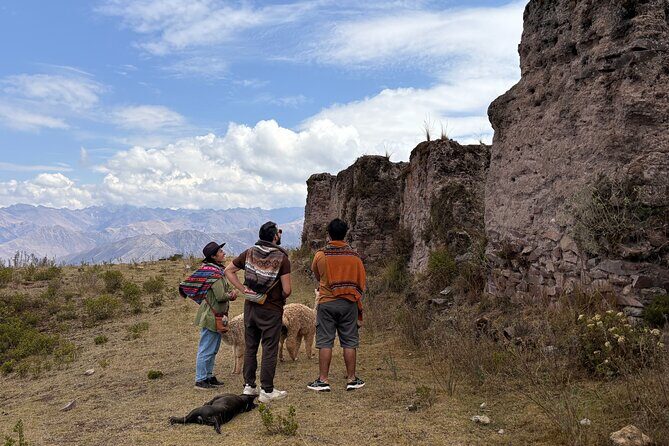 the best sacred valley tour: walk with Alpacas,culture experience - Stop 2: Pisac Archaeological Park, Terraces, and Valley Views