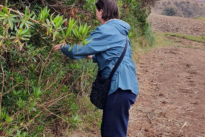 The Textile Workshop Experience in Cusco Region - Value and Price: Is $79 Worth It?