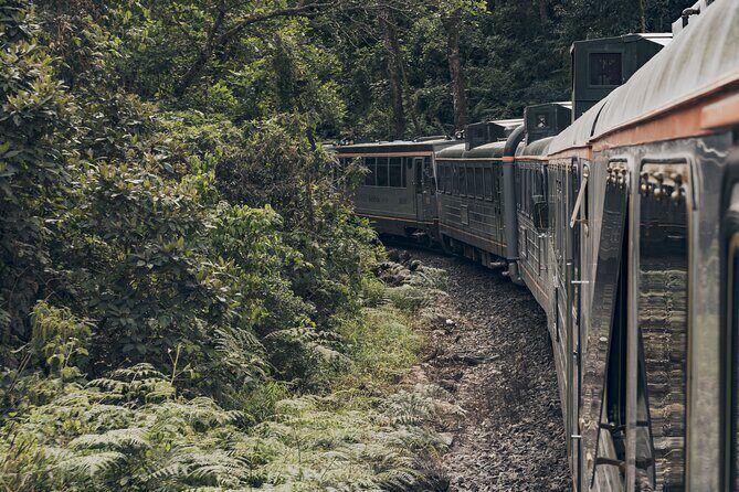 The Voyager Machu Picchu Train by Inca Rail - Comfort and service on the Voyager: what works (and what can get annoying)