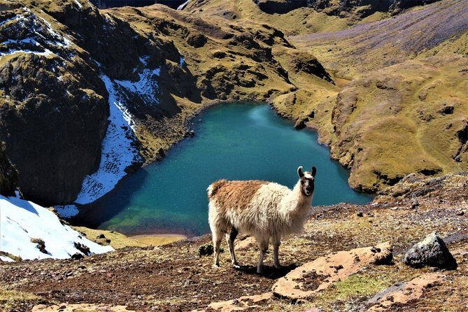 Ultimate Lares Trek & Inca Trail 5 days - Day 2: Condor Pass and Cancha Cancha, the tech-free Quechua village