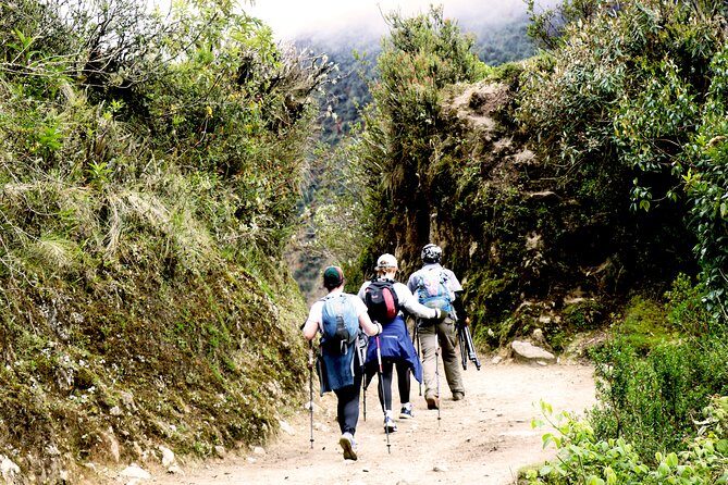 Ultimate Salkantay Trek to Machu Picchu 5 Days - Day 2 over the Salkantay Pass: the highest point and the drop into cloud forest