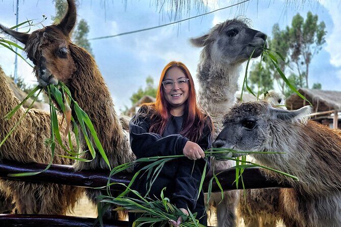 Viewpoints and Streets Tour of Cusco Photo Tour - Key Points I’d Use to Decide