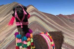 Vinicunca Rainbow Mountain Full-Day Tour from Cusco - Cusipata Breakfast: More Than a Meal at Thin Air