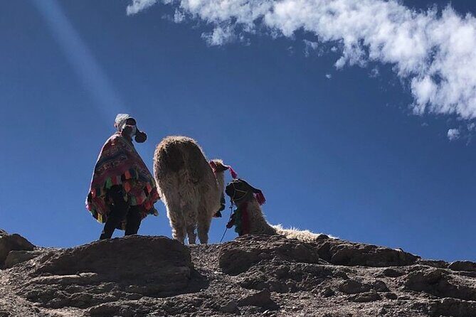 Vinicunca Rainbow Mountain Full-Day Tour from Cusco - Breakfast and Lunch Included: The Value Often Missed
