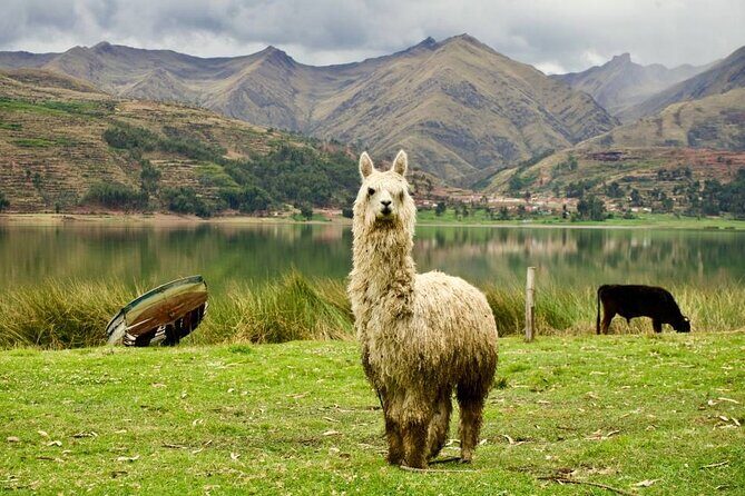 Wonderful Cusco 5-Day Tour with Entrance to Machupicchu - Vinicunca Mountain of Seven Colors: 04:00 Start, 2.5-Hour Climb, and 5033m Altitude